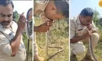 لحظه تکان‌دهندهِ تنفس دهان به دهان به یک مار!