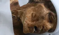 اجساد عجیبی که طبیعت آن‌ها را پس می‌زند!
