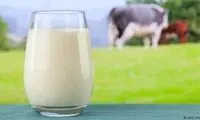 شیر بادام جایگزین مناسبی برای شیر گاو است؟