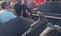از غم طبس و حجم بی‌کفایتی شما، هر ساعت منفجر می‌شویم