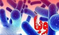 شناسایی نخستین مورد ابتلا به وبا در این شهر
