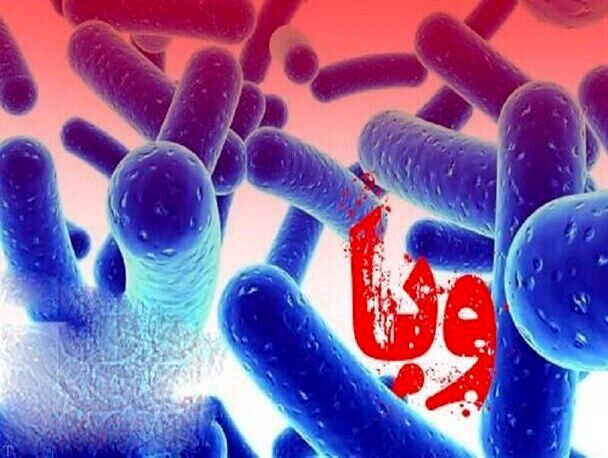 شناسایی نخستین مورد ابتلا به وبا در این شهر