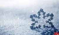 تصویر دیدنی از حجم بارش برف در مازندران 