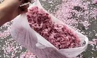 بعد از نابودی خاک هرمز، برخی به زیبایی بهار هم رحم نکردند!