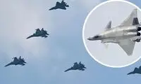 وقتی یک لیف خشک، جنگنده را از دید رادار محو می‌کند!