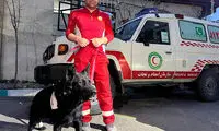 این سگ جان دو نفر را در زیر آوار نجات داد!