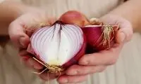 این نوع پیاز خواص بسیار زیادی دارد