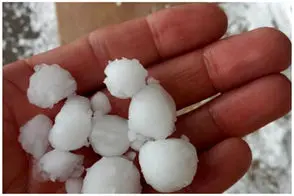 تصاویری از شادی عربستانی‌ها از بارش باران و تگرگ