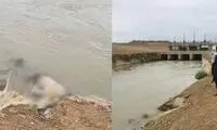 جسدی که پس از ۴ روز در آب پیدا شد