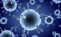 موج آنفلوآنزا در راه است؟