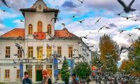 بهترین زمان سفر به رشت + نکات مهم برای برنامه‌ریزی سفر