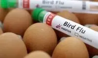 ادعای ترسناک متخصصان از شیوع یک نوع آنفلوآنزا