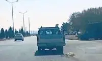پلیس فتا عامل حیوان آزاری در سمنان را شناسایی کرد