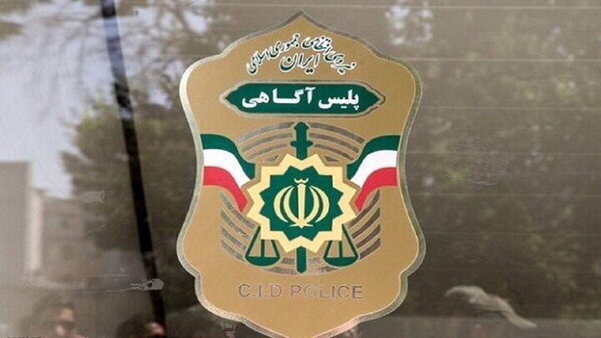   واکنش پلیس به ماجرای دزدیده شدن زن جوان در مشهد 