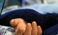 جزئیاتی از مرگ اسرارآمیز دختربچه اهوازی بر اثر اصابت گلوله