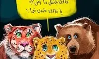 پیام جدید حیوانات برای مردم!