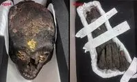 بازگشت مومیایی با روکش طلا به خانه