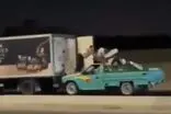 سرقت عجیب؛ ۶ نفر ۱۰۵ کیلو مرغ منجمد دزدیدند!