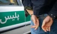بازداشت یک باند افغانستانی در تهران پر سروصدا شد