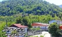 تخریب جنگل‌های شمال ایران با اسم رمز جدید
