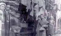 با آخرین پالان‌دوز تهران آشنا شوید!