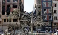 یک درخت مهری را در شب سالگرد ازدواجش نجات داد
