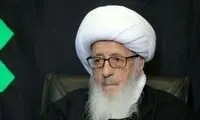 تصاویری از یک مرجع تقلید در خودروی محافظت شده