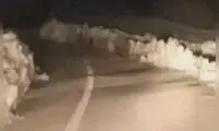  مشاهده خرسِ مادر و ۲توله‌اش در کوهرنگ
