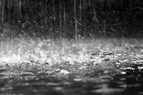 بارش باران بسیار شدید در این استان‌ها؛ مردم مراقب باشند