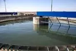 اطلاعیه آبفای تهران درباره احتمال آلودگی تاسیسات آب
