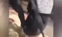 دستگیری فرد درگیر شده با زن بدحجاب در آمل‌