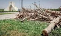 ماجرای یک عکس جنجالی که از میدان آزادی پخش شد