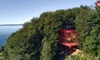 معماری استثنایی یک «خانه جنگلی» در شیلی 