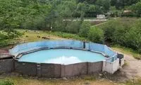 ماجرای سگی که برای بابلی‌ها دردسرساز شد