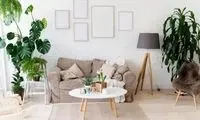 نقش گیاهان در دکوراسیون؛ از زیبایی بصری تا آرامش روان