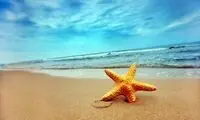 حمل‌ونقل دریایی انسان با سبد!