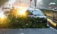 چرا طوفان گرد و خاک در تهران جولان می‌دهد؟
