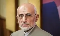 میرسلیم: نباید از نفت و گاز به عنوان سوخت استفاده شود