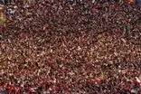 تصاویری از جشن خیابانی اسپانیایی‌ها پس از فتح جام جهانی 