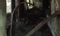 ویدئویی دردناک از مرگ سه تهرانی در آتش‌سوزی
