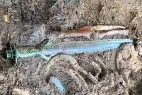 شمشیری که بعد از 3400 سال «تیز و درخشان» باقی مانده است