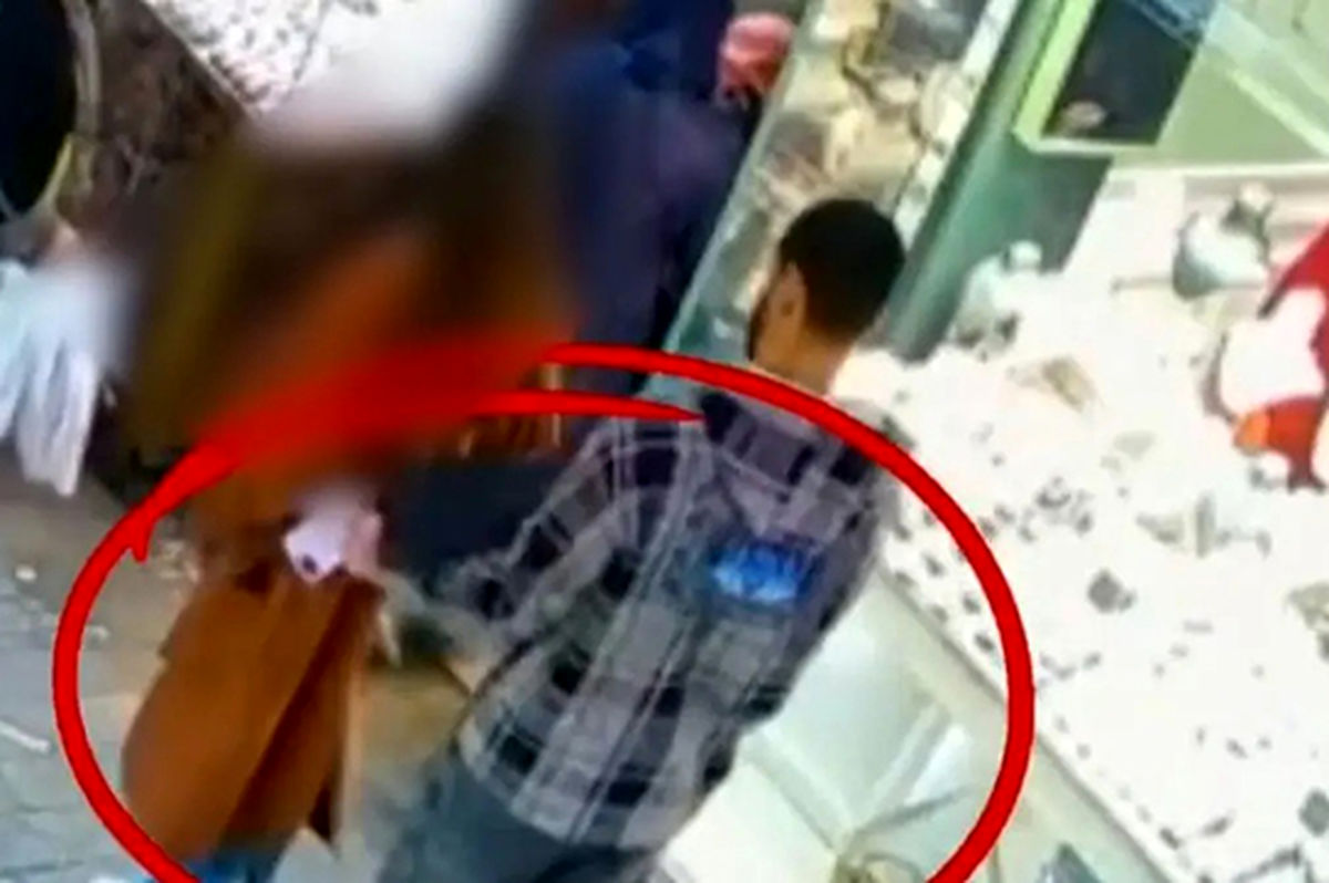 لحظه سرقت موبایل دختر جوان در عرض چند ثانیه