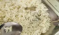 واکنش دانشجویان به پیدا شدن مارمولک در غذای سلف