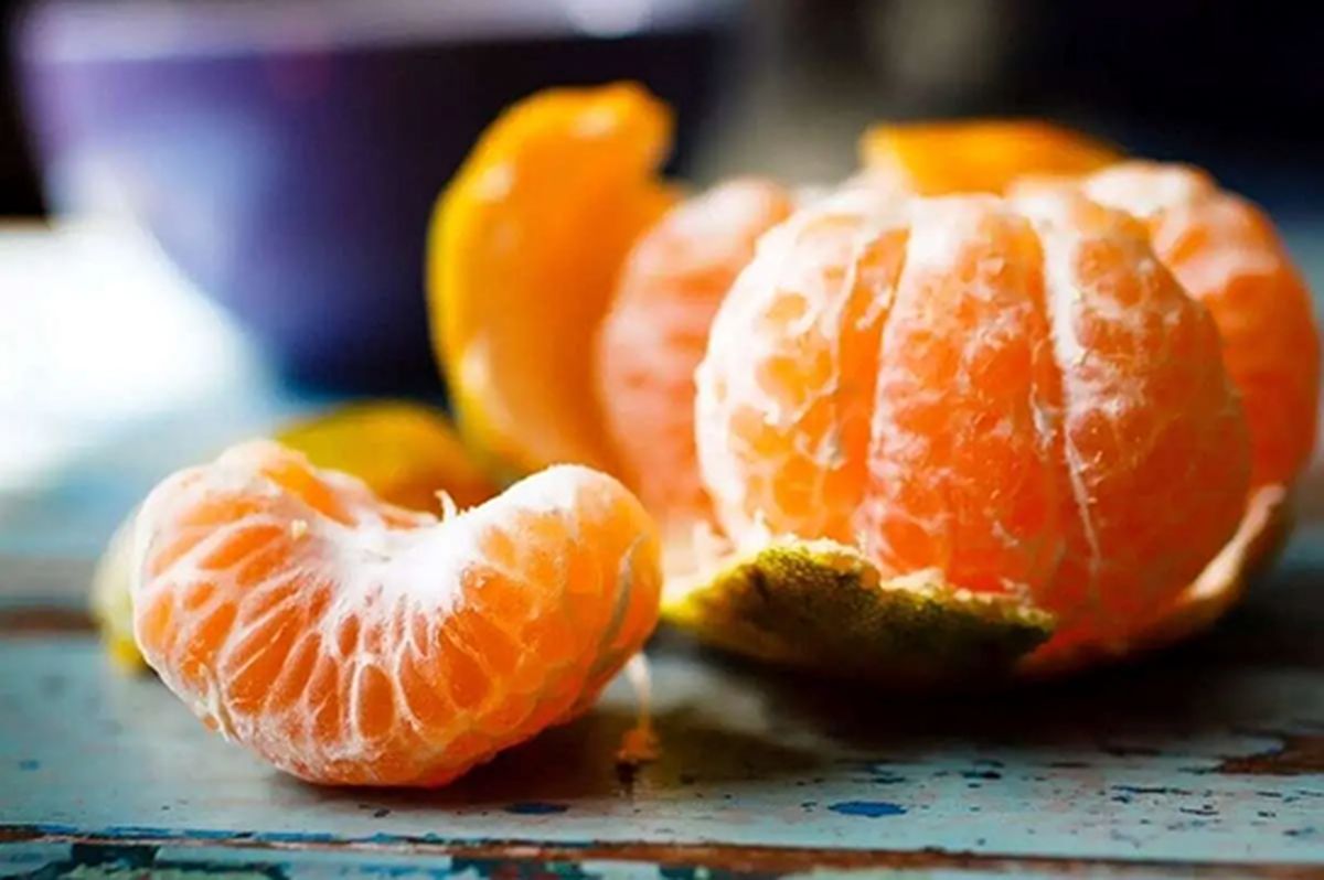 اعتراض کشاورزان با توزیع رایگان نارنگی‌ها