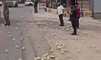 تصادف در عراق، خیابان را پر از جوجه کرد