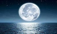 طرح بسیار دیدنی ژاپنی‌ها برای زندگی در ماه 
