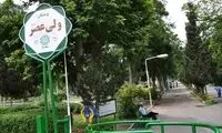 طیب حاج‌رضایی معروف اینجا زندگی می‌کرد