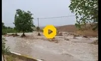 لحظه نجات چند کودک از رودخانه سرباز
