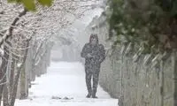 از فردا منتظر برف و سرما باشید