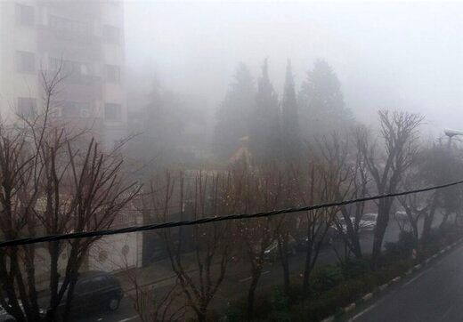 فرو رفتن تهران در مه غلیظ؛ سعادت آباد محو شد!